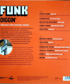 Various Funk Diggin': Funk Music Gems From Vinyl Diggers
