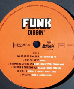 Various Funk Diggin': Funk Music Gems From Vinyl Diggers