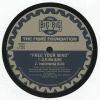 Fibre Foundation Free Your Mind