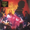 Alice In Chains MTV Unplugged